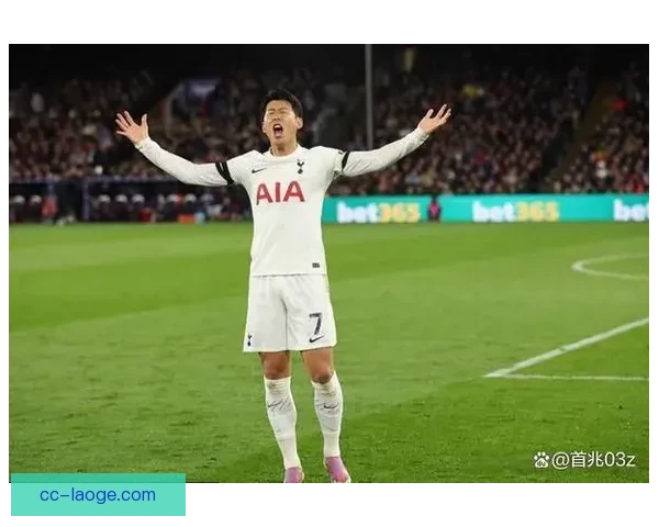 孙兴慜火力全开连续破门领跑热刺射手榜