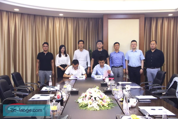 多俱乐部集团试点推广，资源共享模式渐成熟
